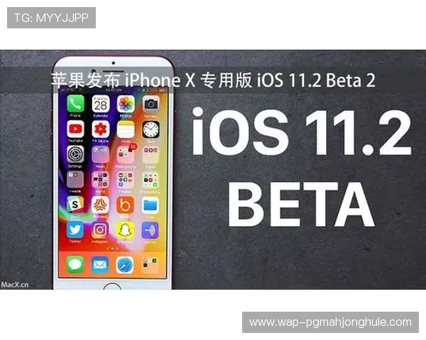PG旗舰站公司为游戏开发者提供的专业服务与合作方案介绍